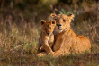 Kenya - Masai Mara ©Shutterstock, maggy meyer