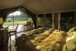 Kenya - Masai Mara - Little Governor's