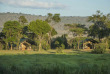 Kenya - Masai Mara - Little Governor's