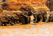 Kenya - Tsavo © Shutterstock, eduard kyslynskyy