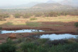 Kenya - Tsavo Ouest - Kilaguni Serena Lodge