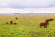 Kenya - Tsavo - Taita Hills Wildlife Sanctuary