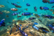 Malawi - Lac Malawi ©Shutterstock, Radek Borovka