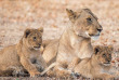 Malawi - Parc national de Liwonde ©Crafted Africa