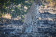 Malawi - Parc national de Liwonde ©Crafted Africa