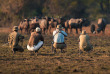 Malawi - Parc national de Liwonde - Mvuu Lodge