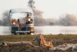 Malawi - Parc national de Liwonde - Mvuu Lodge