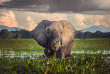 Malawi - Parc national de Liwonde - Mvuu Lodge