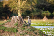 Malawi - Parc national de Liwonde ©Crafted Africa