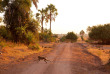 Malawi - Parc national de Liwonde ©Shutterstock, Yury Birukov