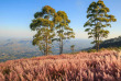 Malawi - Plateau de Zomba ©Shutterstock, Radek Borovka