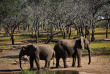 Malawi - Réserve de Majete ©Crafted Africa