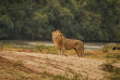 Malawi - Réserve de Majete ©Crafted Africa
