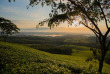 Malawi - Tea Estate - Staemwa - Huntingdon House