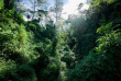 Malawi - Zomba Plateau - Zomba Forest Lodge