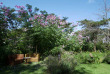 Malawi - Zomba Plateau - Zomba Forest Lodge