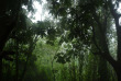Malawi - Zomba Plateau - Zomba Forest Lodge