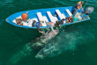 Mexique - Basse Californie - Baja Expeditions - San Ignacio Lagoon
