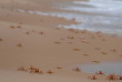 Mozambique - Bazaruto - Anantara Bazaruto Island Resort