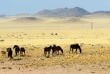 Namibie - Aus - Excursion sur la réserve de Klein Aus Vista