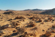 Namibie - Aus  - Chevaux du désert ©Shutterstock, Jaz Wuji