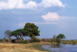 Namibie - Bande de Caprivi - Parc national de Nambwa - ©Shutterstock, Artush