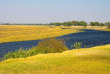 Namibie - Chobe River - ©Shutterstock, Fabio Lamanna