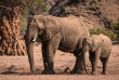 Namibie - Damaraland ©Shutterstock, Janelle Lugge