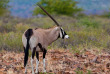 Namibie - Damaraland - Grootberg Lodge