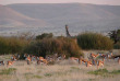 Namibie - Damaraland - Grootberg Lodge