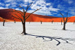 Namibie - Désert du Namib, deadvlei ©Shutterstock, Oleg Znamenskiy 