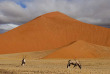 Namibie - Désert du Namib, Dunes ©Shutterstock, Francois Loubser 