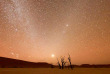 Namibie - Désert du Namib ©Shutterstock, Felix Lipov