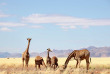 Namibie - NamibRand Nature Reserve - Family Hideout