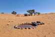 Namibie - NamibRand Nature Reserve - Family Hideout