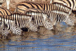 Namibie - Parc national d'Etosha - Ongava tented Camp