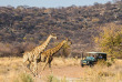 Namibie - Parc national d'Etosha - Ongava tented Camp