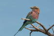 Namibie - Kalahari ©Ute Von Ludwiger