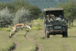 Namibie - Etosha - Ongava Lodge