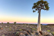 Namibie - Fish River Canyon - ©Shutterstock, Felix Lipov