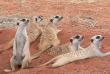 Namibie - Kalahari ©Ute Von Ludwiger