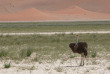 Namibie - Kalahari ©Ute Von Ludwiger