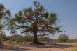 Namibie - Khorixas - Ozondjou Trail Camp