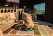 Namibie - Khorixas - Ozondjou Trail Camp - Tente