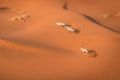 Namibie - Désert du Namib