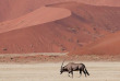 Namibie - Parc national Namib-Naukluft - Desert du Namib - Kulala Desert Lodge - Wilderness Safaris