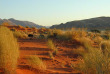 Namibie - Réserve naturelle de Namibrand - Randonnée guidée Tok Tokkie Trails