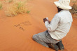 Namibie - Réserve naturelle de Namibrand - Randonnée guidée Tok Tokkie Trails