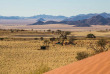 Namibie - Réserve naturelle de Namibrand - Randonnée guidée Tok Tokkie Trails