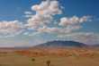 Namibie - Réserve naturelle de Namibrand - Randonnée guidée Tok Tokkie Trails